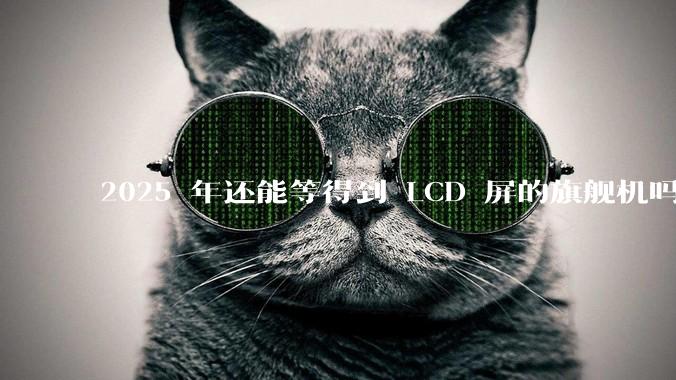 2025 年还能等得到 LCD 屏的旗舰机吗？