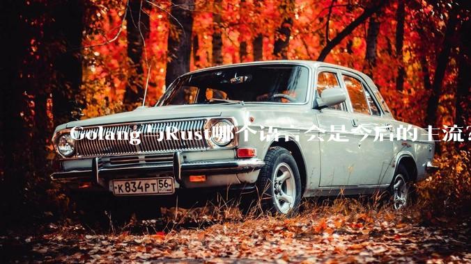 Golang与Rust哪个语言会是今后的主流？