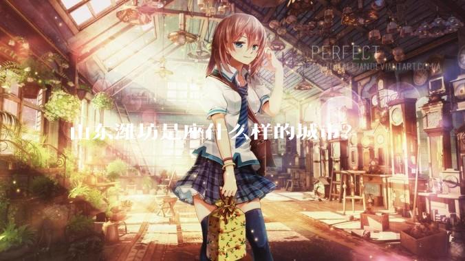 山东潍坊是座什么样的城市？