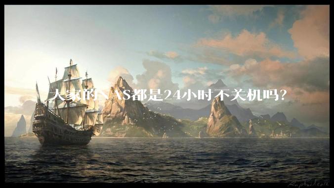 大家的NAS都是24小时不关机吗？