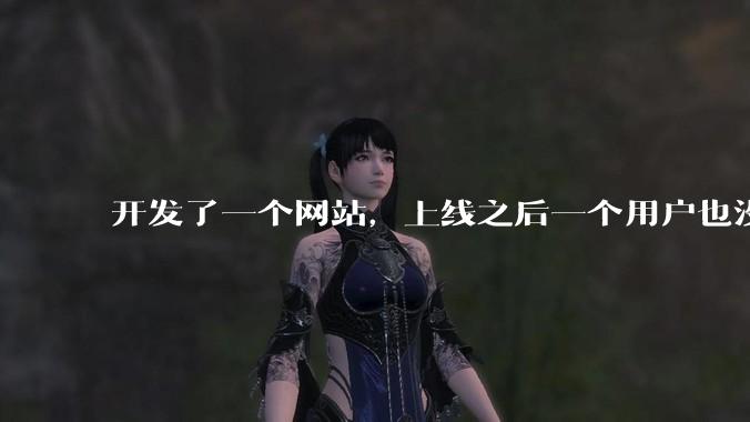 开发了一个网站，上线之后一个用户也没有怎么办?